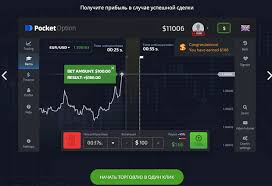 Everything You Need to Know About Cabinet Pocket Option 43 Everything You Need to Know About Cabinet Pocket Option 43