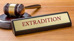 Essential Guide to Hiring Employment Lawyers Essential Guide to Hiring Employment Lawyers
