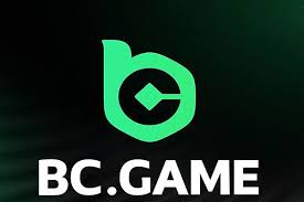 Experience the Thrill of Aviator at BC CO Experience the Thrill of Aviator at BC CO